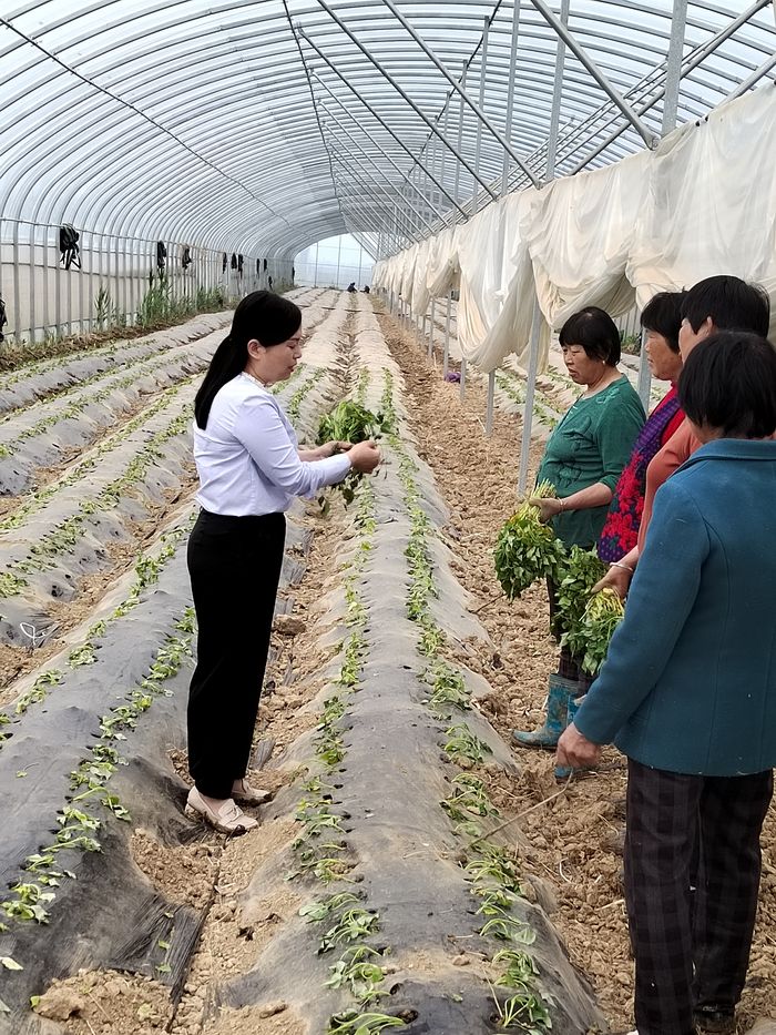劉惠貞與村民分享種植蜜薯的技巧。受訪者供圖
