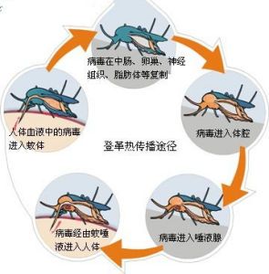 8c6cbb1f73848a01ec509bd8a7e8c5d8_640_wx_fmt=jpeg&wxfrom=5&wx_lazy=1&wx_co=1.jpg